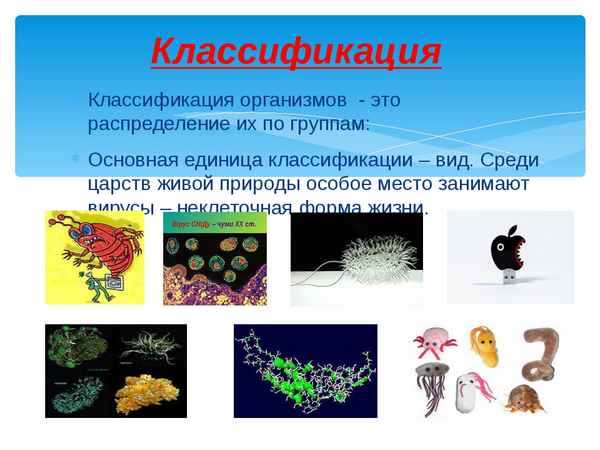 Гдз решебник по биологии 5-6 класс пасечник, суматохин, калинова, гапонюк учебник просвещение
