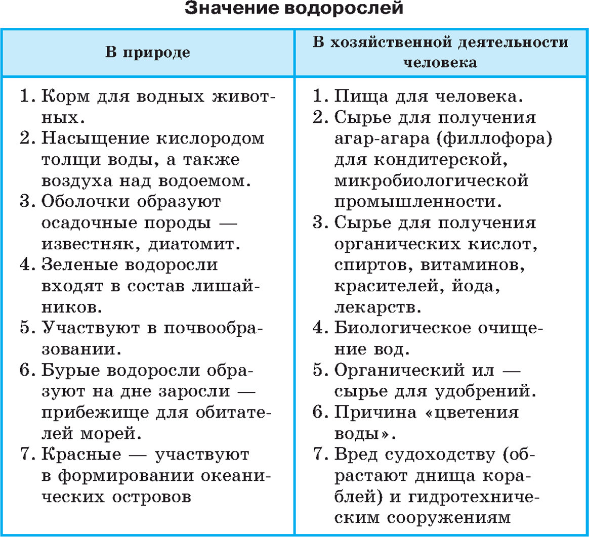 Водоросли (тест, ответы) — 5 класс