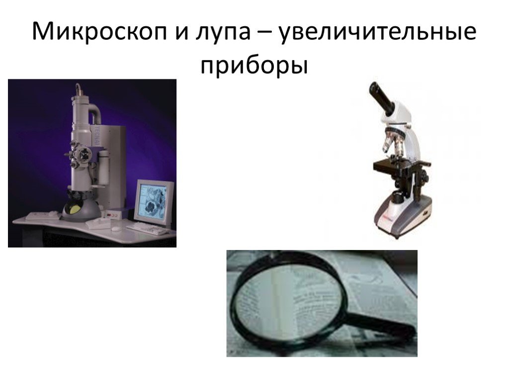 Гдз ответы по биологии учебник 5-6 класс пасечник