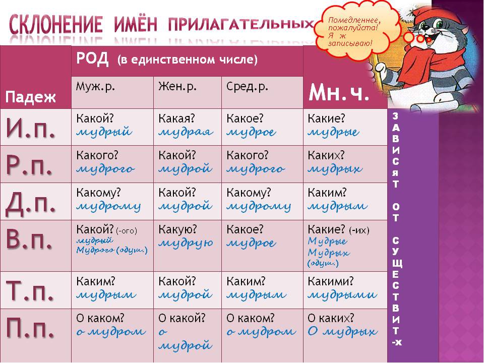 Падежи и склонение имён прилагательных | русский язык